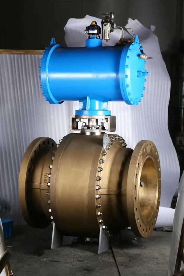 Trunnion Mounted Ball Valve Brochure